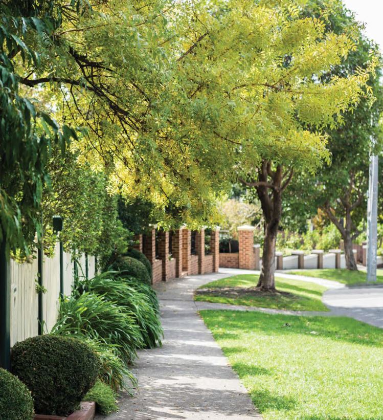 Leafy_Streets_of_Glen_Iris