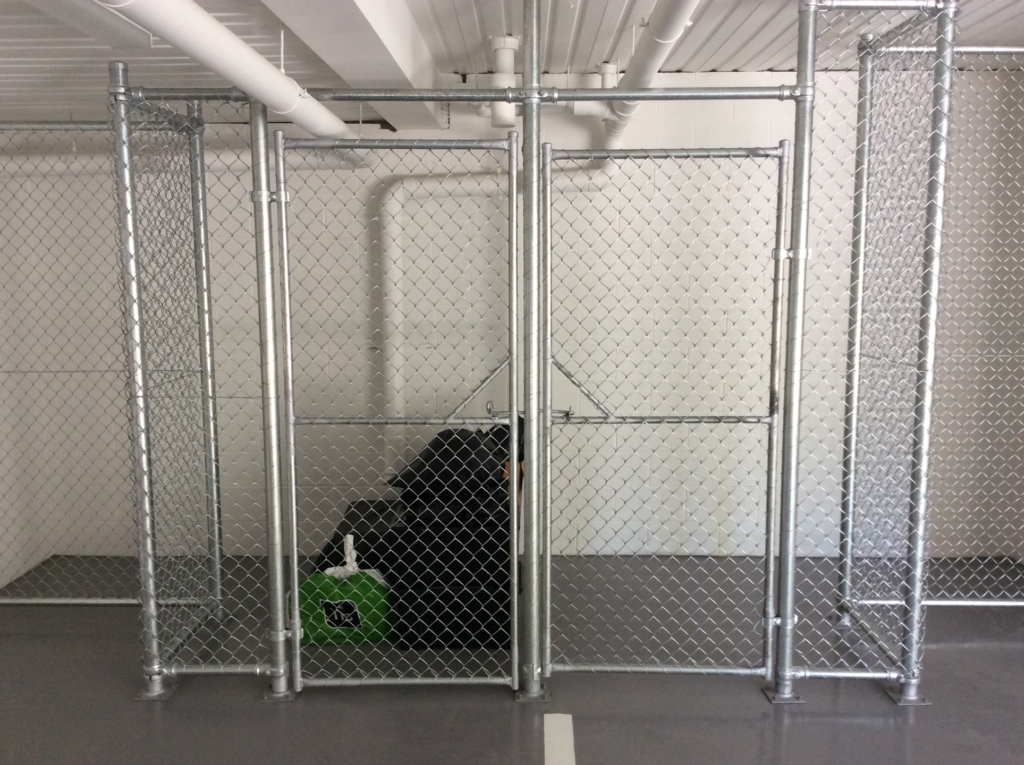 Market_Insights_Storage_Cage