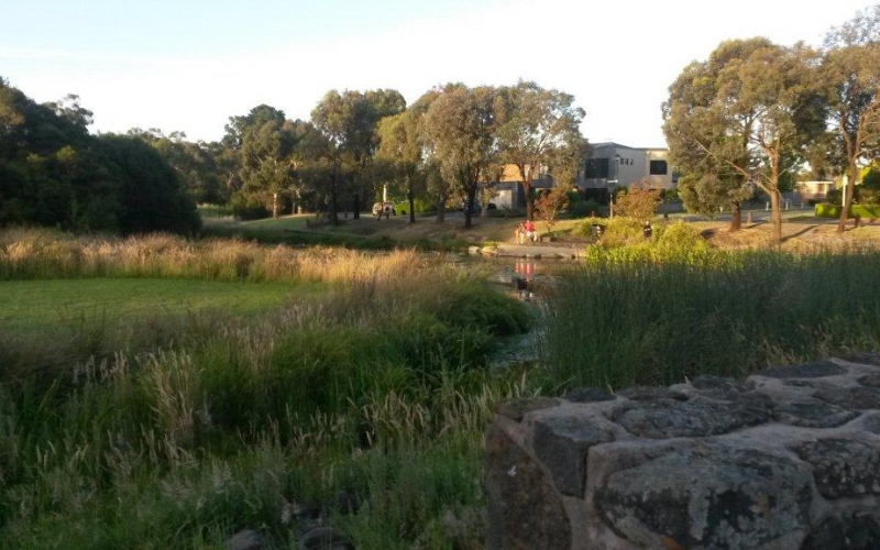 Beaconsfield wetlands. Credit image: https://beaconsfield.org.au/parks/