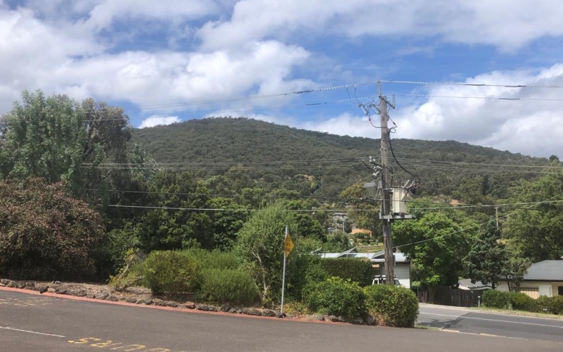 Ferntree Gully is on the fringe to the famous Dandenong Mountains