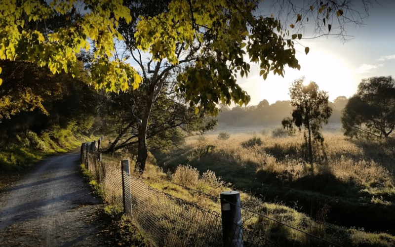 Banyule_Flats_Reserve