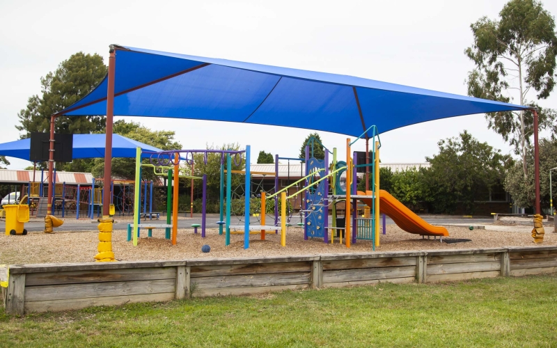 Holy Trinity Primary School. Credit image: https://htws.catholic.edu.au/grounds-and-facilities/