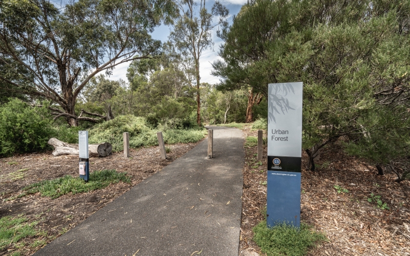 Urban Forest walking track.