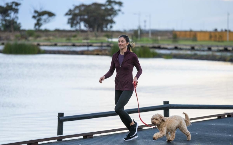 There are some walking tracks throughout the suburb. Credit image: https://manorlakes.com.au/blog/walking-trails-explore