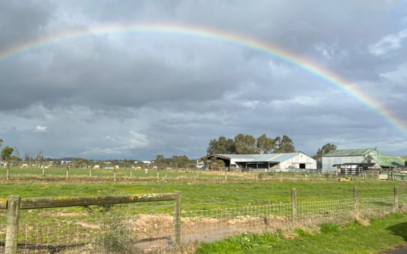 Chesterfield Farm is s a tourist/children's farm. Credit image: https://www.facebook.com/ChesterfieldFarm