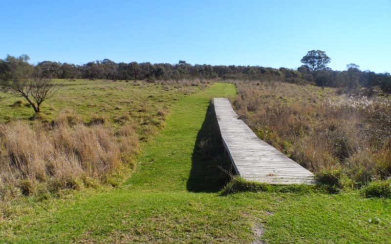 Dandenong Police Paddocks Reserve. Credit image: https://bushwalkjournal.blogspot.com/