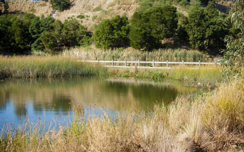 Eastone Reserve. Credit image: https://creating.cardinia.vic.gov.au/