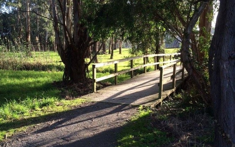 Brooker Park. Credit image: https://www.facebook.com/Brooker-Park-Linear-Trail-Extension-349394852068954