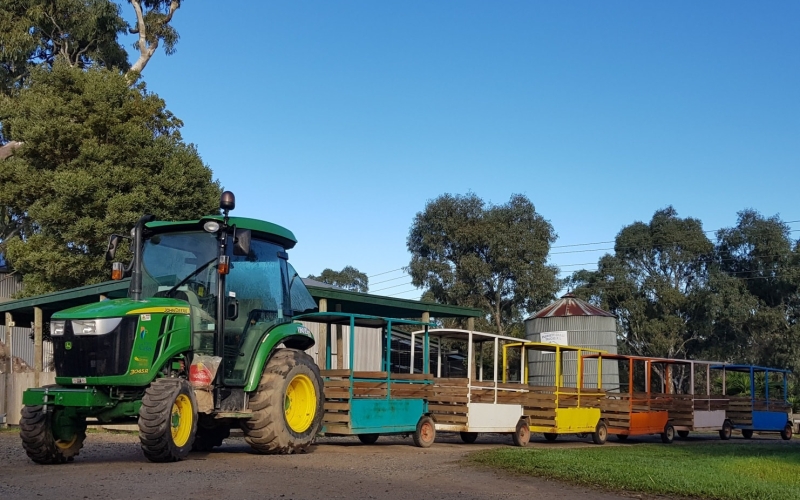 Myuna Farm offers kids a tractor ride tour. Credit image: https://www.facebook.com/MyunaFarm/photos