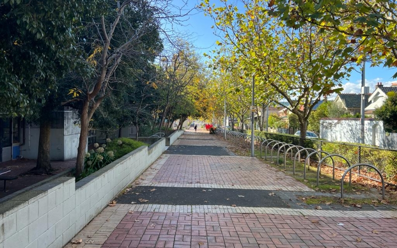 Carlton is filled with tree lined streets