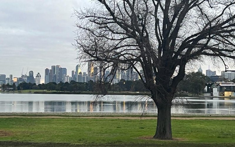 Albert Park Lake