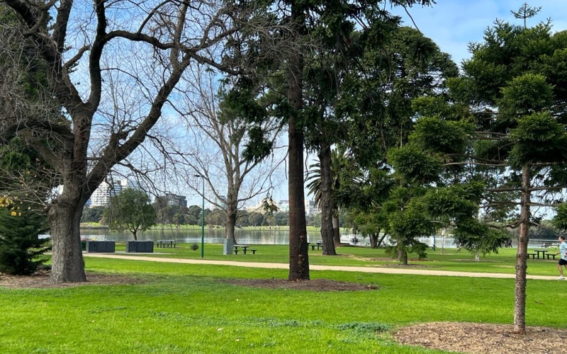 The suburb is filled with open green spaces