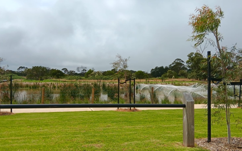 The council has established some wonderful walking tracks and wetlands.